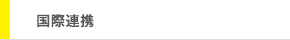 国際ネットワーク